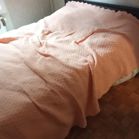 Apartment Chambre A Loue *